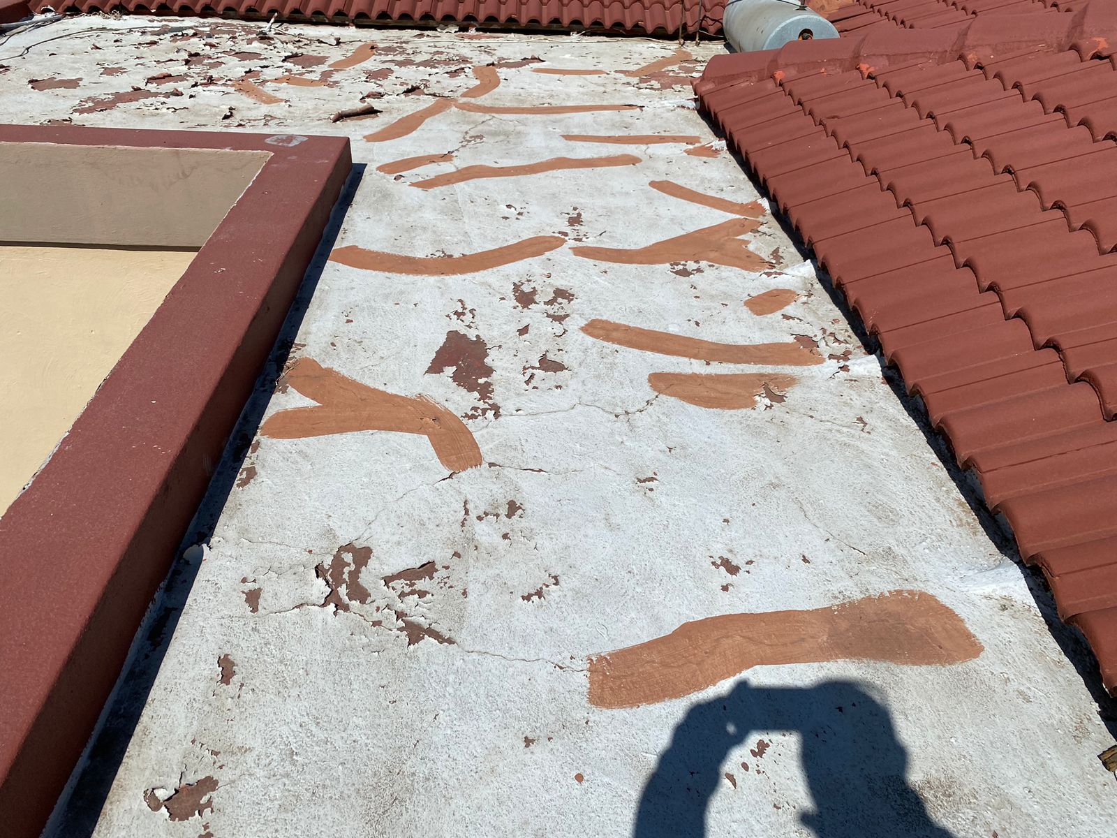 Before Damp & Waterproofing