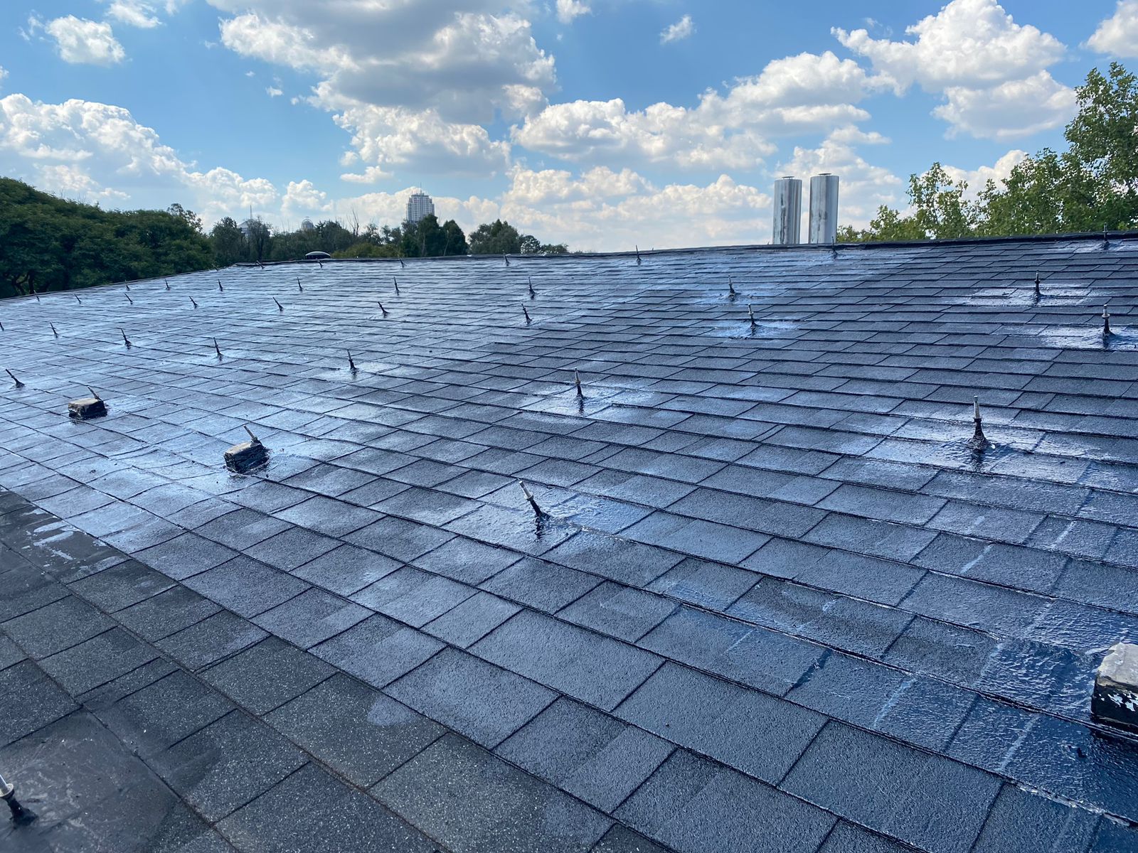 c15d53ea-2b14-4ac5-b01f-c0603a8332ab