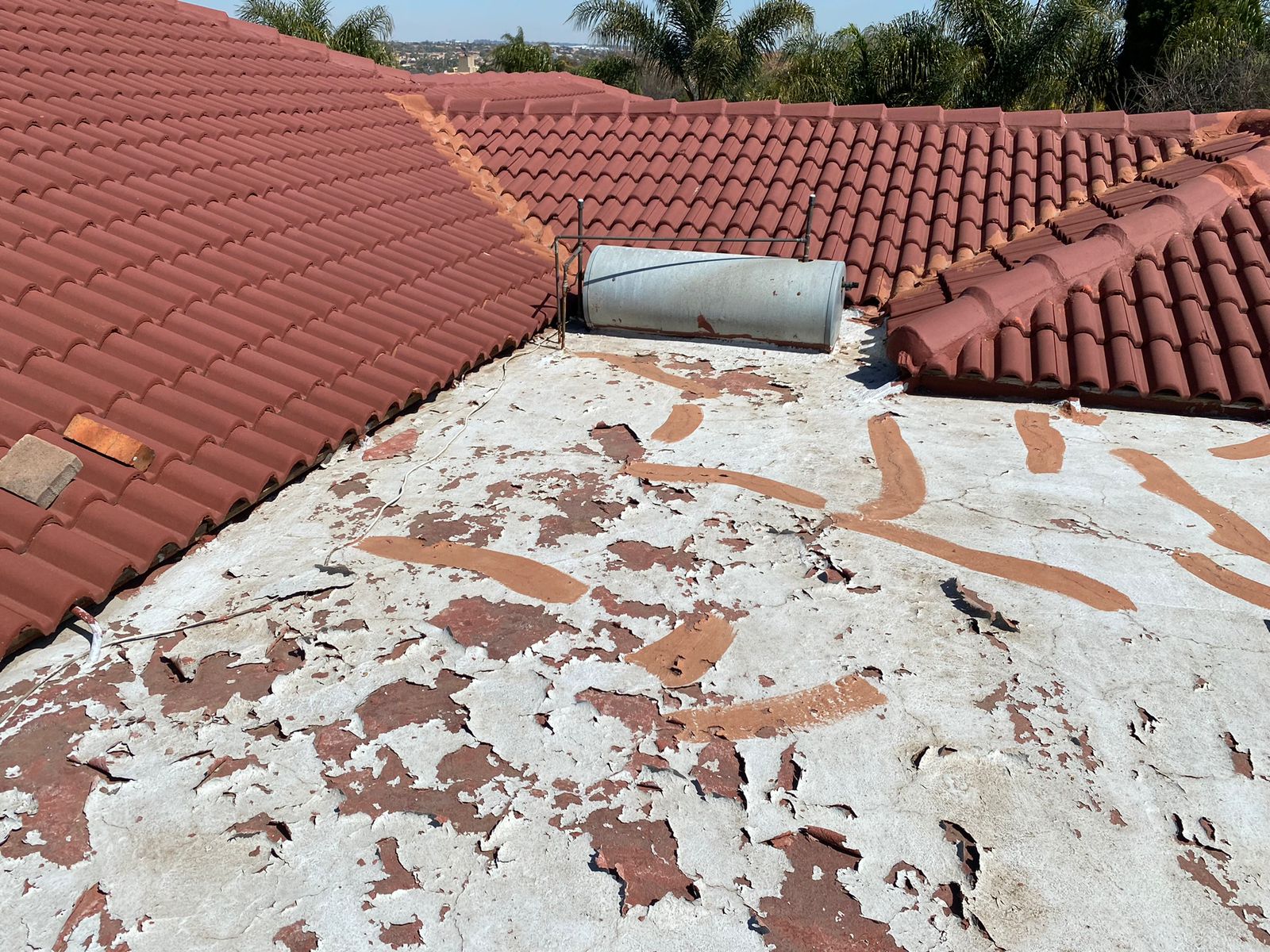 Before Damp & Waterproofing